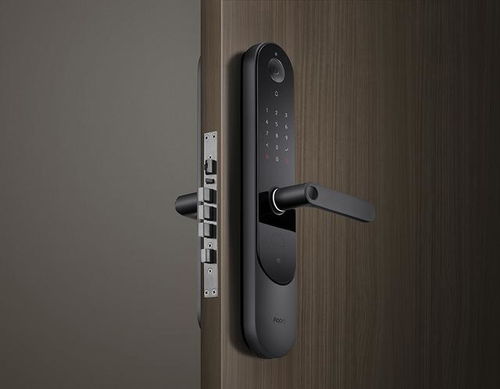 Aqara 全新P100 看得見的安全，AI智能門鎖的革新